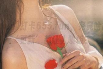 打卡655.fun，究竟啥能每次‘更新’都让人喷饭？