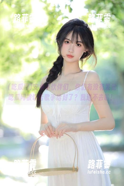 吃瓜网 安卓小伙伴们,你们有没有发觉吃瓜网被饶舌歌手给封了?我进不去啦!