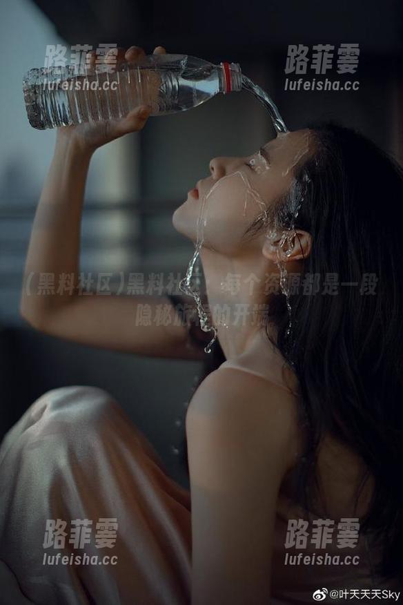 黑料社区 黑料社区:每个资源都是一段隐秘旅程的开端