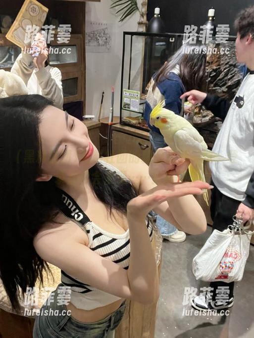 黑料社团 黑料社团的精品最新一览,登录后你会发现……就酱吧!